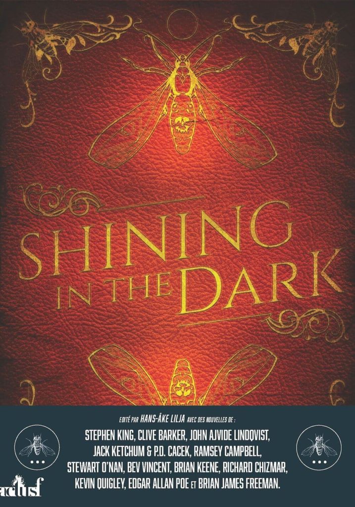 Couverture du recueil "Shining in the dark"